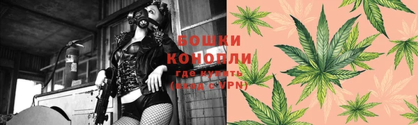 PSILOCYBIN Козельск