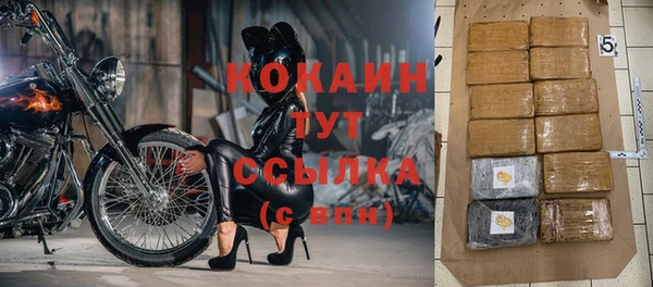 индика Козловка