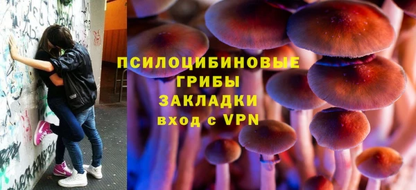 2c-b Вяземский