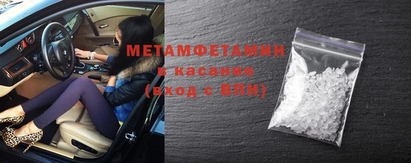 индика Козловка