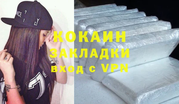 индика Козловка