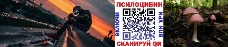 Псилоцибиновые грибы Magic Shrooms  блэк спрут ссылка  Курлово  где найти  