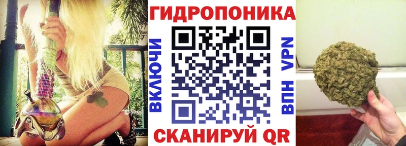 блэк спрут вход  Курлово  Конопля индика 
